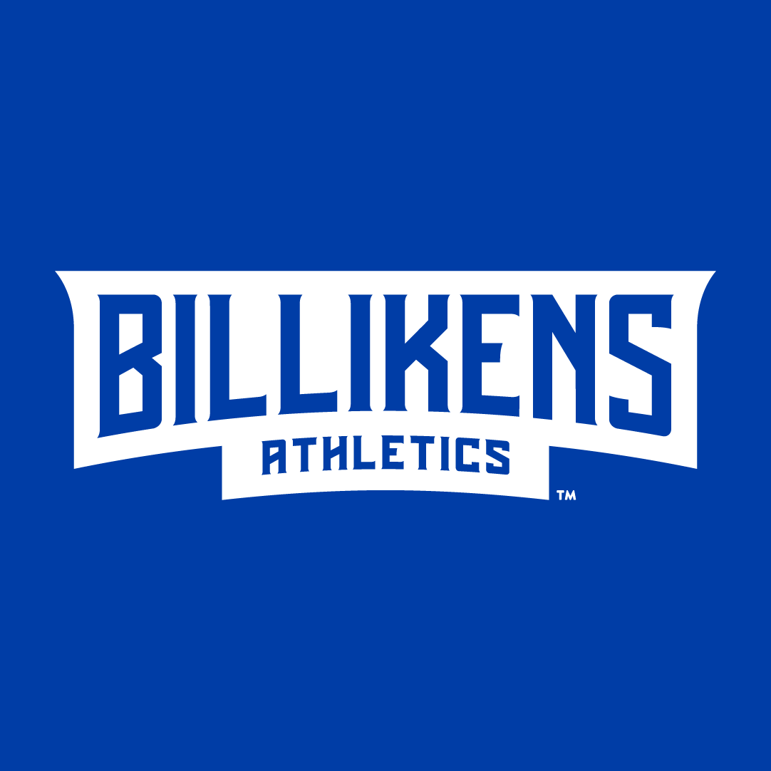 Saint Louis Billikens 2015-Pres Wordmark Logo v3 diy DTF decal sticker